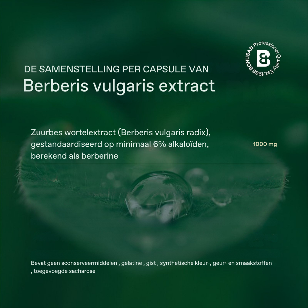 Bonusan Berberis vulgaris