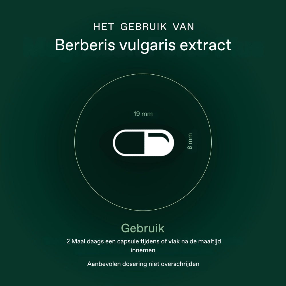 Bonusan Berberis vulgaris