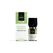 Volatile Geranium Bourbon Geranium Pelargoniumgraveolens 5 ml