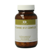 van der Pigge Vitamine B12 complex 90 zuigtabletten