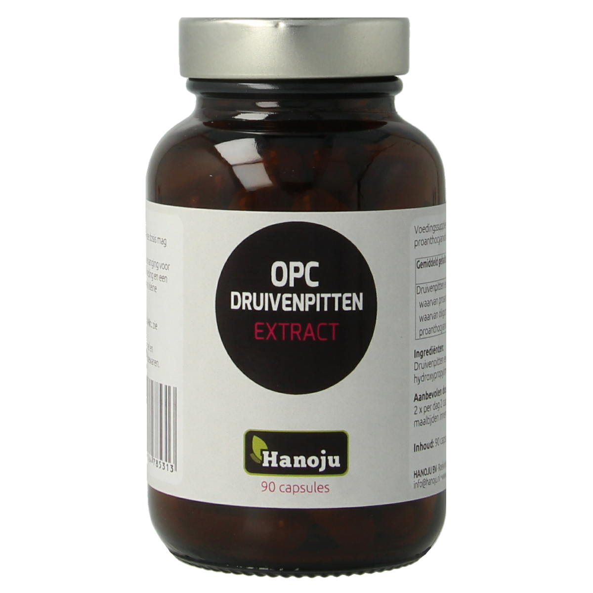 Hanoju OPC druivenpit extract 500 mg 90 capsules