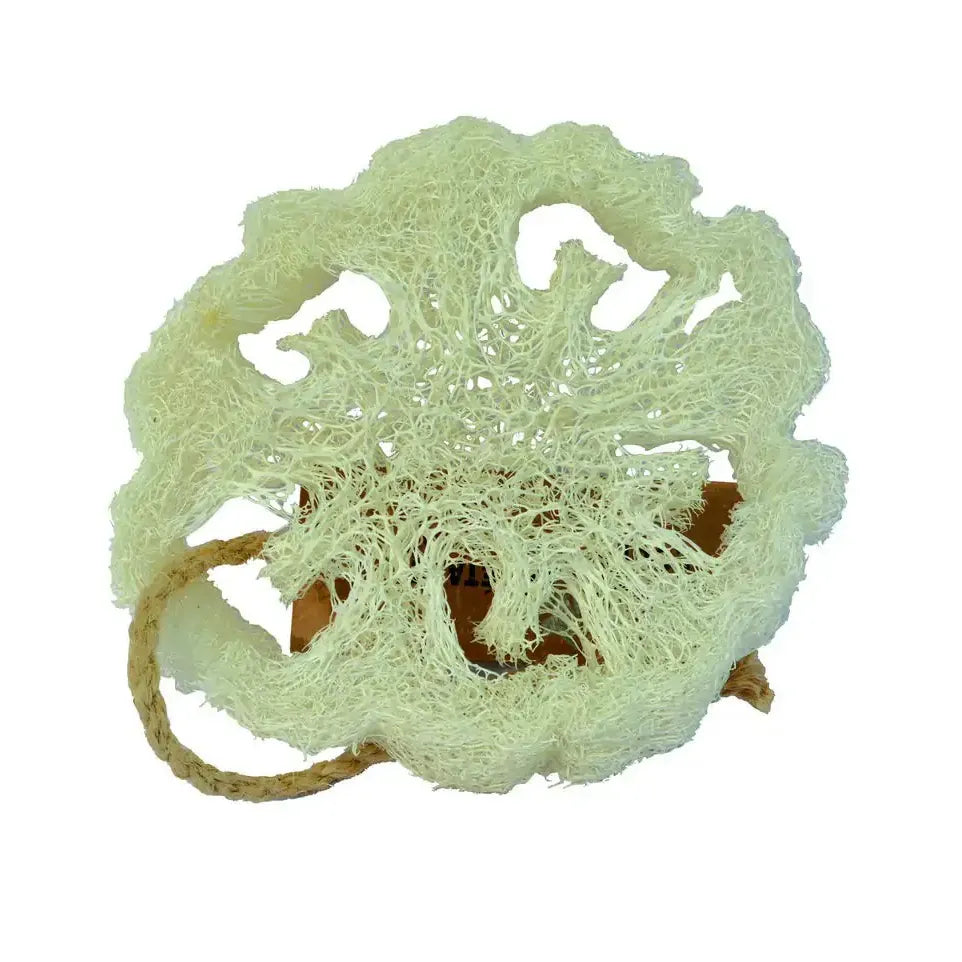 Aleppo Soap Co Loofah natuurspons plak
