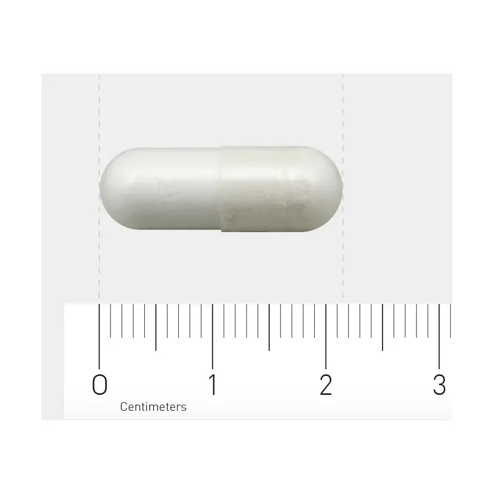 AOV 604 L-Carnosine 60 vcaps