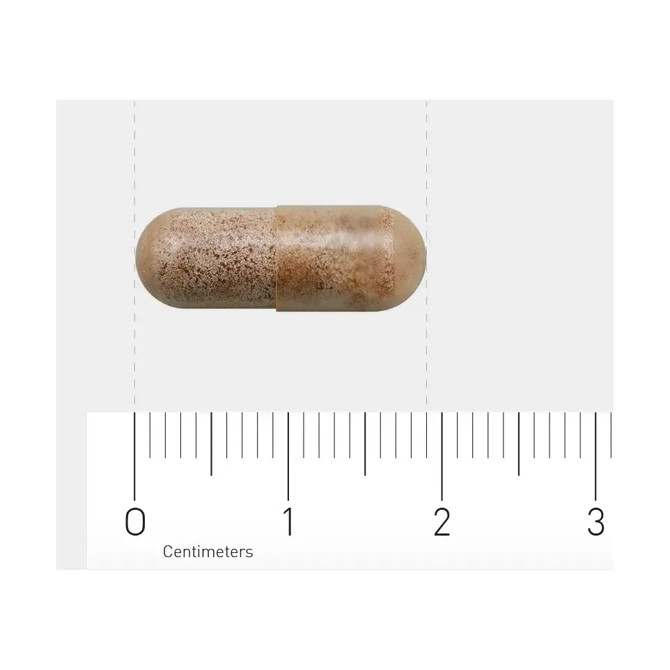 AOV 807 Druivenpitten 60 vcaps