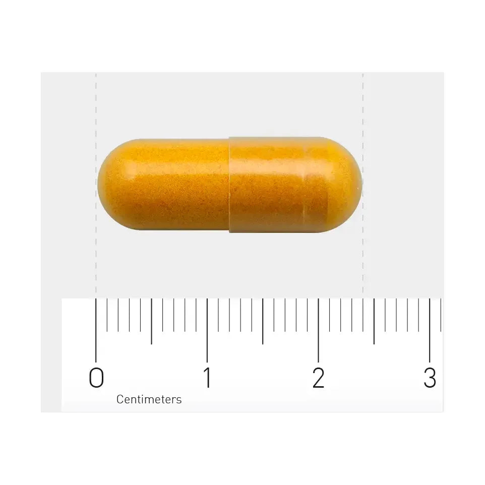 AOV 831 Curcuma longa fytosomaal 60 vcaps