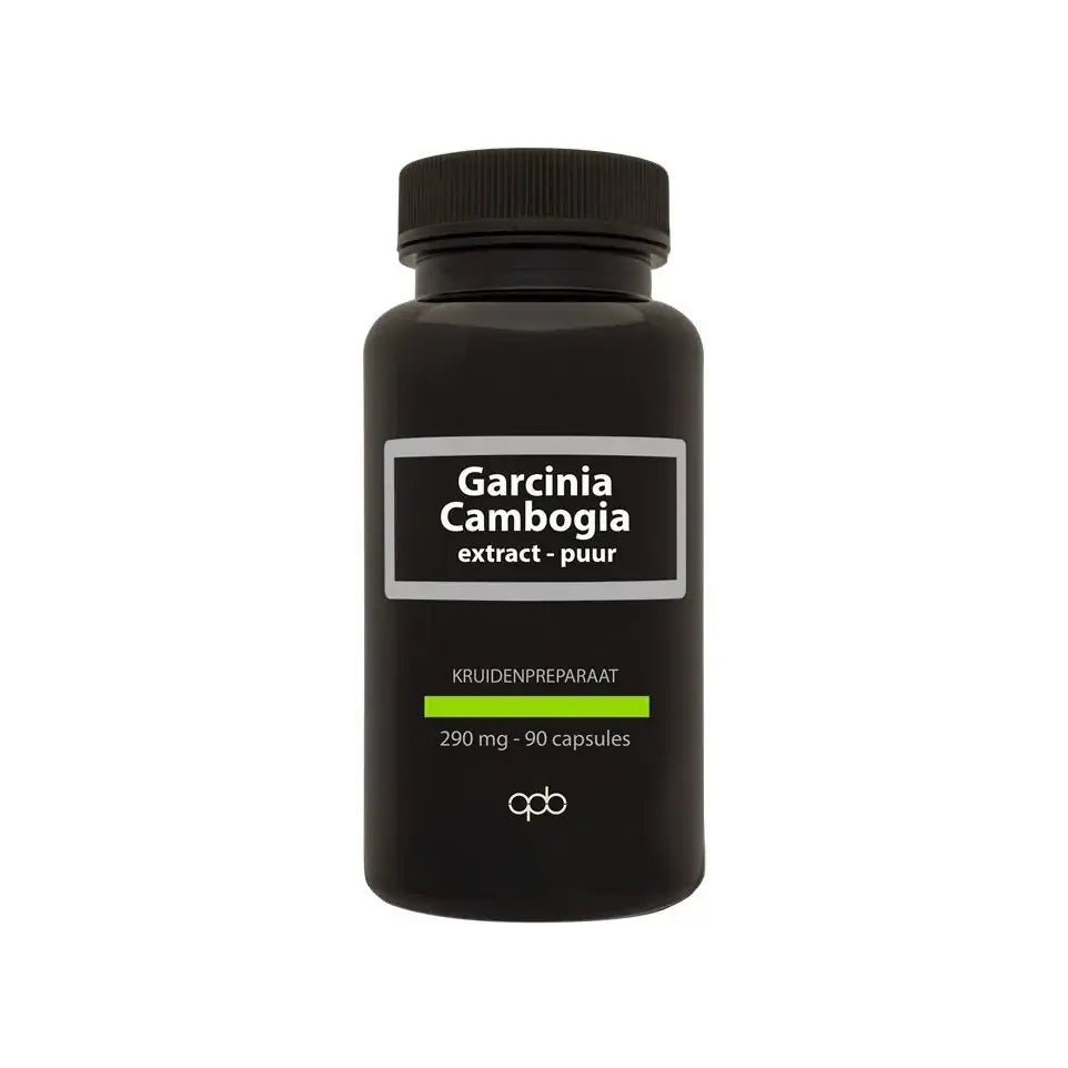 Apb Holland Garcinia cambogia 290 mg puur 90 vcaps