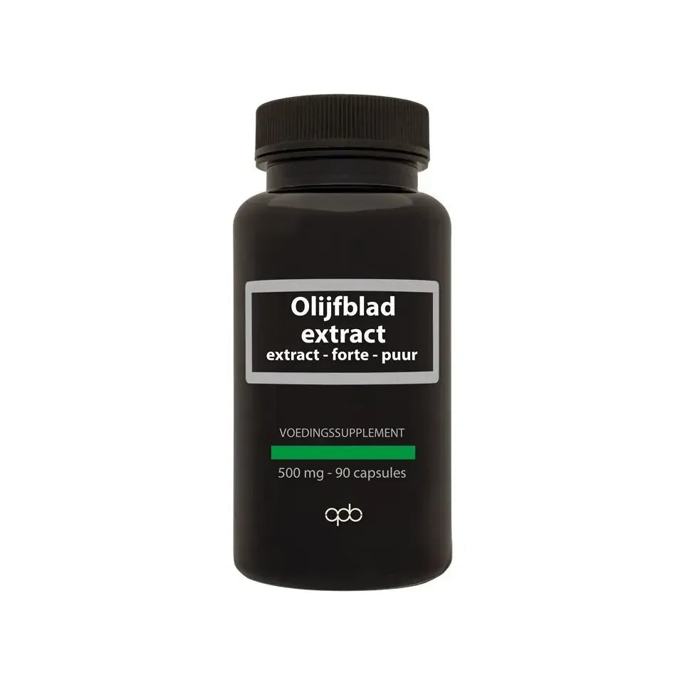 Apb Holland Olijfblad extract 500 mg puur 60 capsules