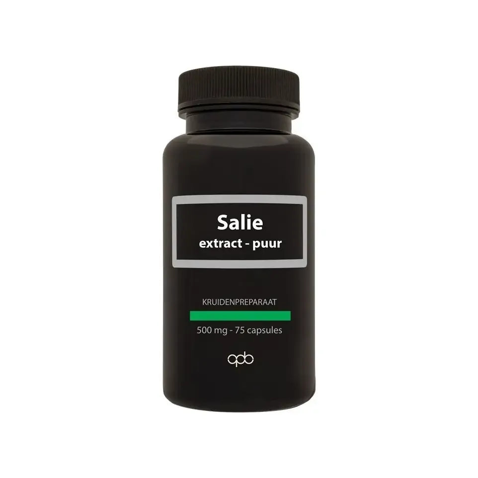Apb Holland Salie puur 500 mg 75 capsules