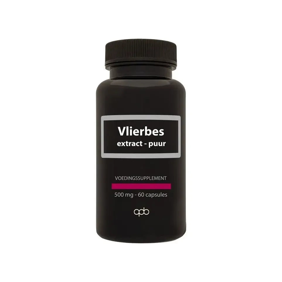 Apb Holland Vlierbes/sambucus nigra 500 mg puur 60 vcaps