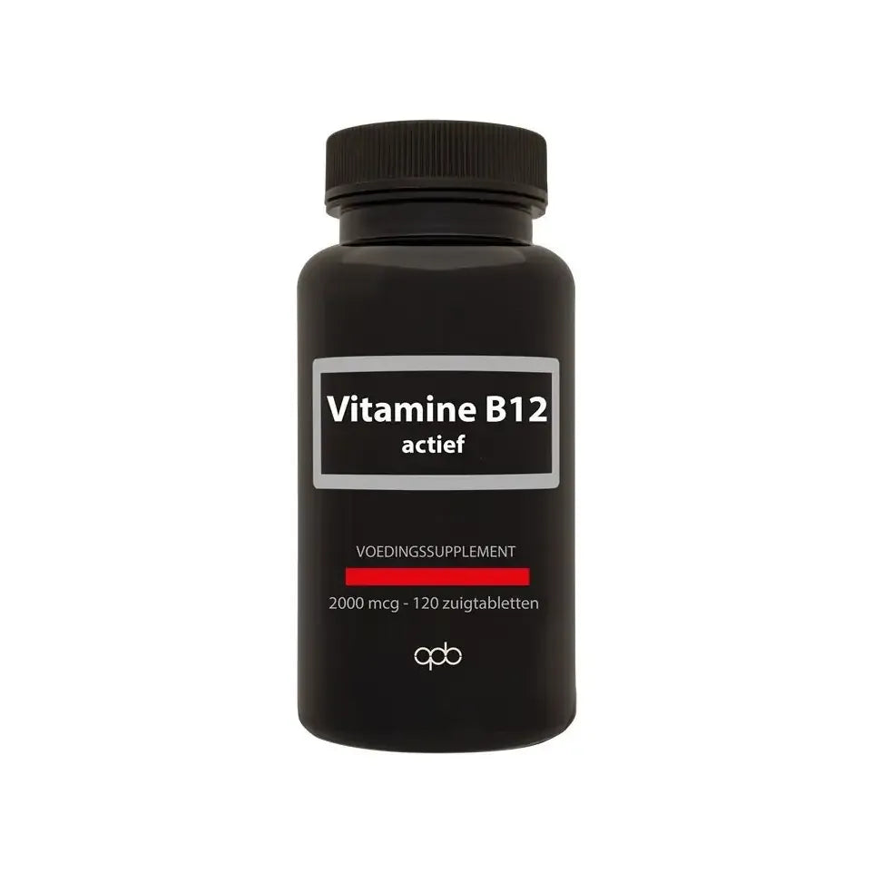 Apb Holland Vitamine B12 actief 2000mcg 120 zuigtabletten