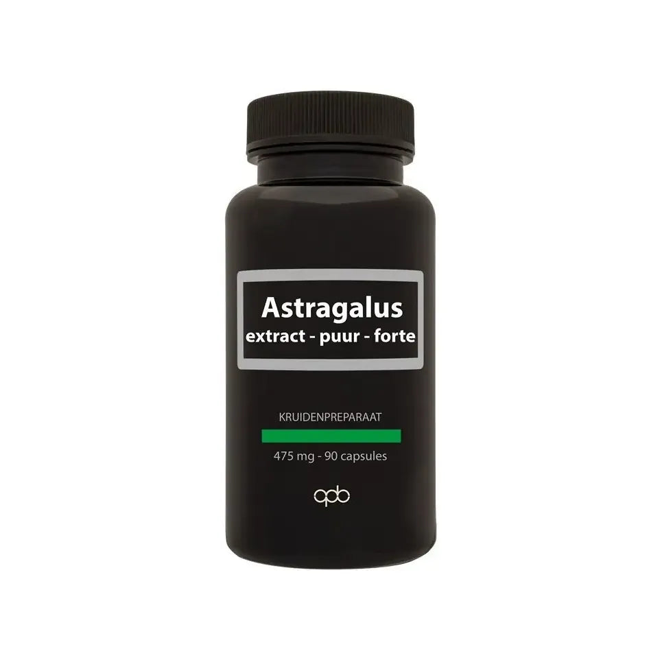 Apb Holland Astragalus puur 90 capsules