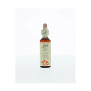 Bach Aspen/ratelpopulier 20 ml