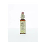 Bach Chestnut bud/kastanjeknop 20 ml