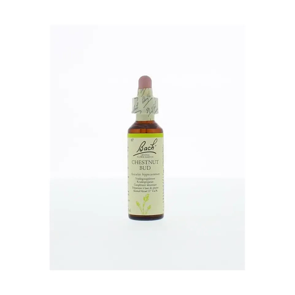 Bach Chestnut bud/kastanjeknop 20 ml