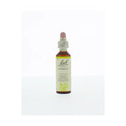 Bach Clematis/bosrank 20 ml