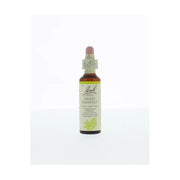 Bach White chestnut/paardekastanje 20 ml