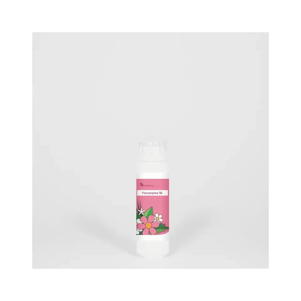 Balance Pharma HFP056 Het kind in jezelf Flowerplex 6 gram