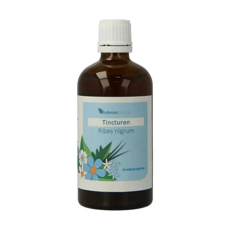 Balance Pharma Ribes nigrum tincturen 100 ml