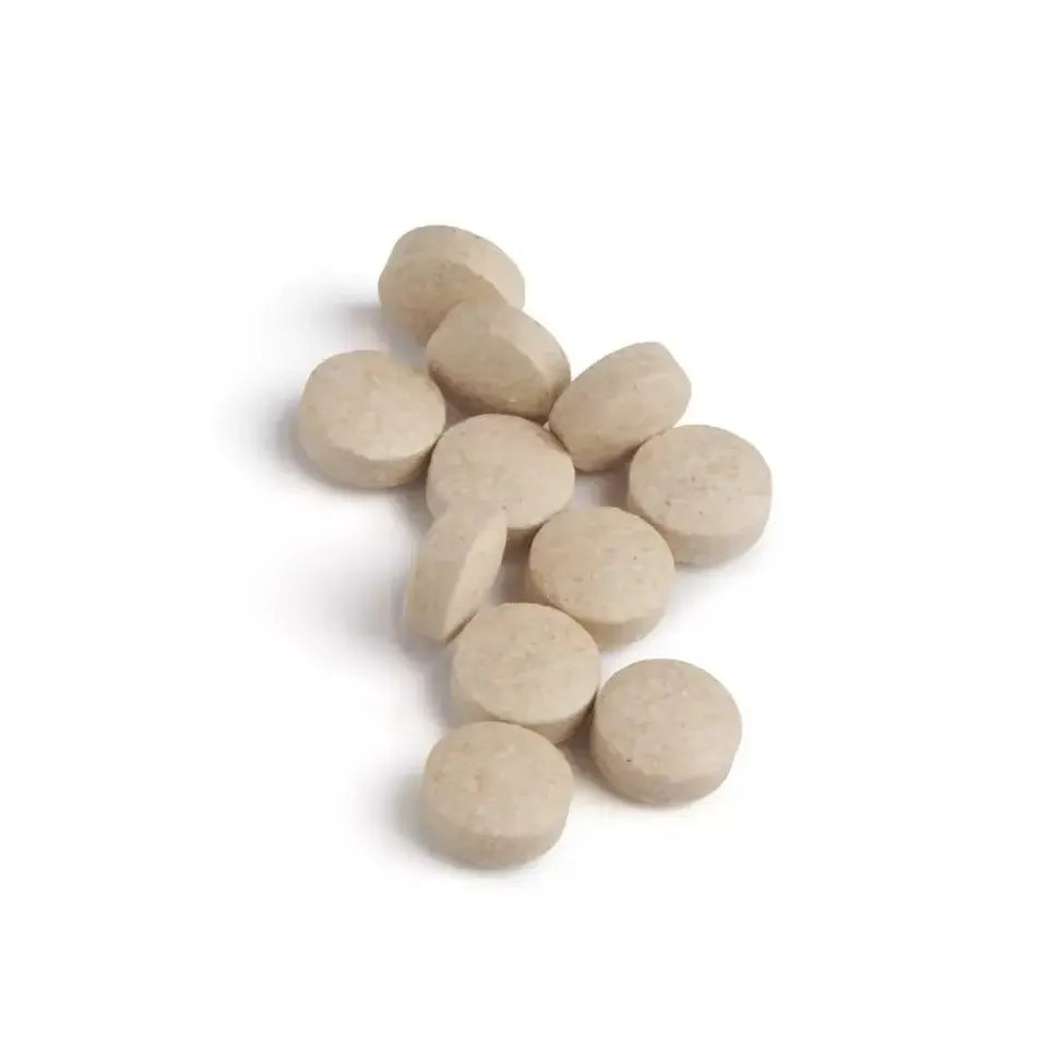 Biotics 6 plus 90 tabletten