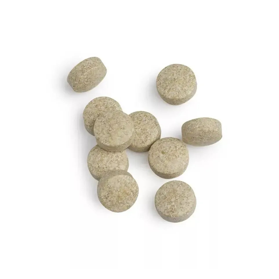 Biotics Cytozyme B 60 tabletten