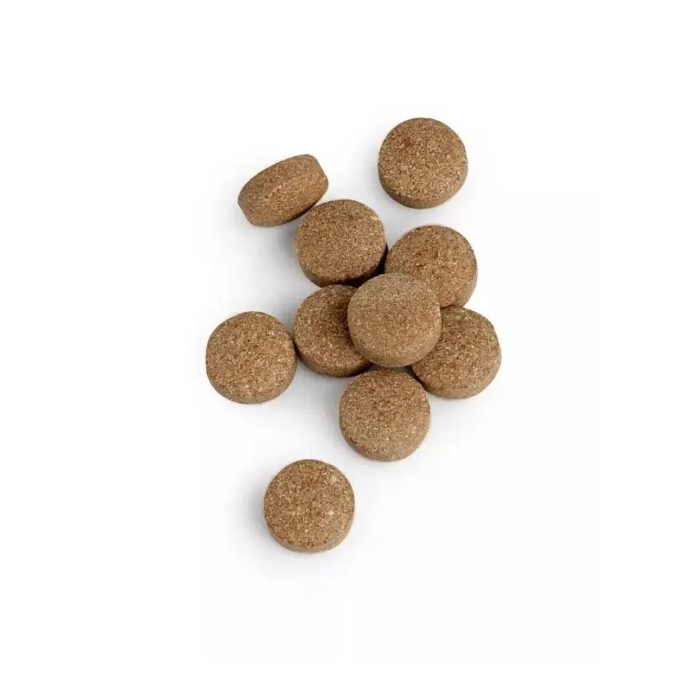 Biotics Cytozyme orchic testikel 100 tabletten