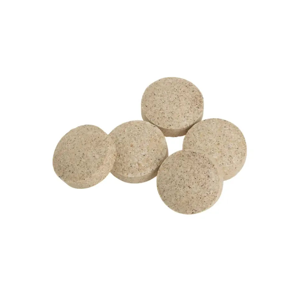 Biotics Ginkgo Biloba (24%) 60 tabletten