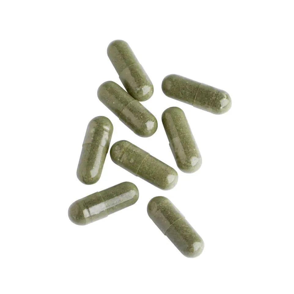 Biotics Immunozyme Forte 90 capsules