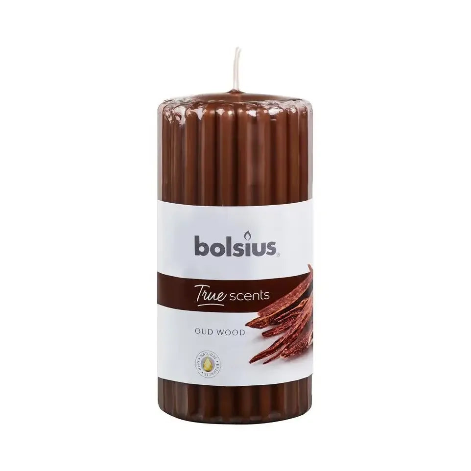 Bolsius True Scents stompkaars geur 120/58 old wood