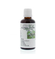 Cruydhof zuurbes wortelschors tinctuur 50 ml