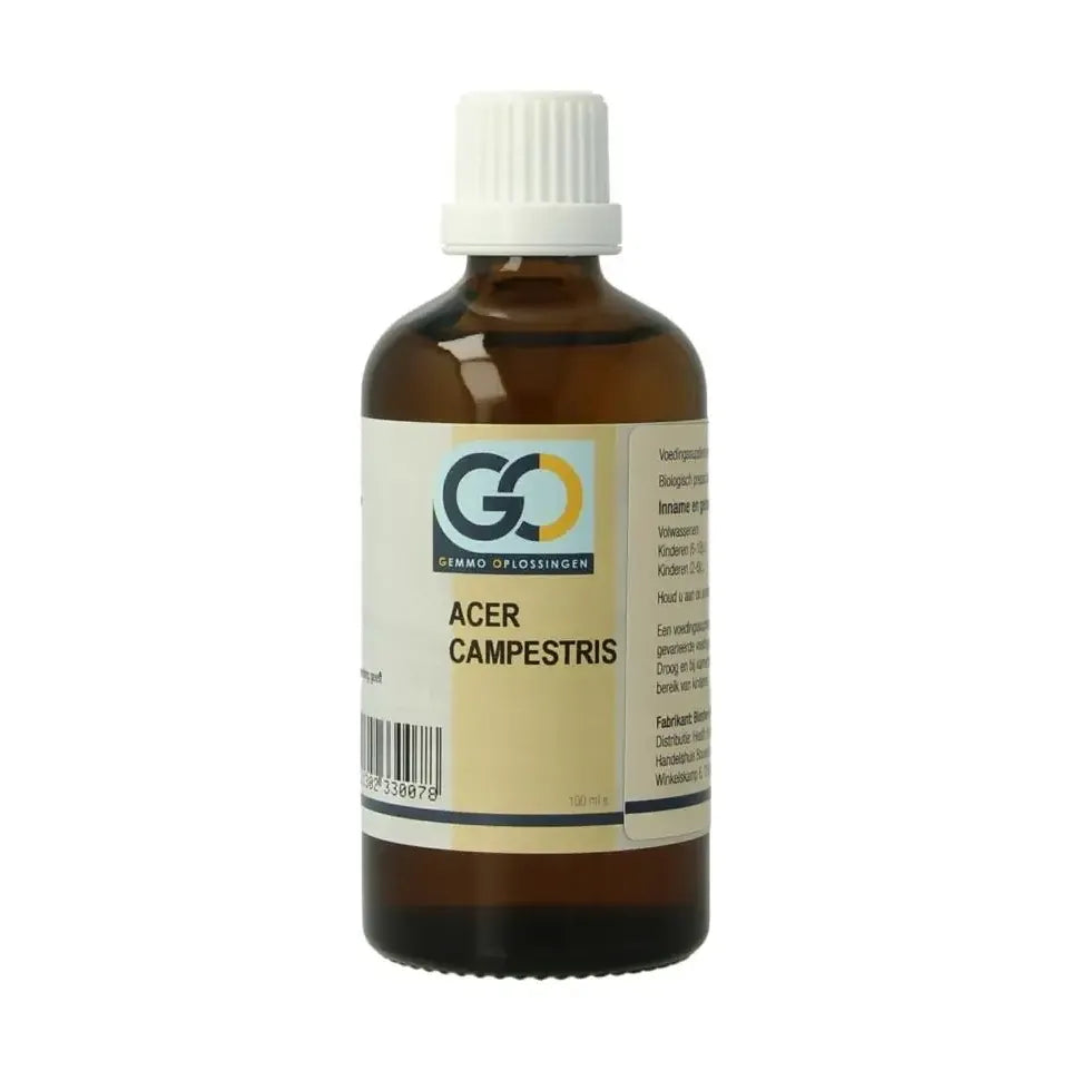 GO Acer campestris biologisch 100 ml