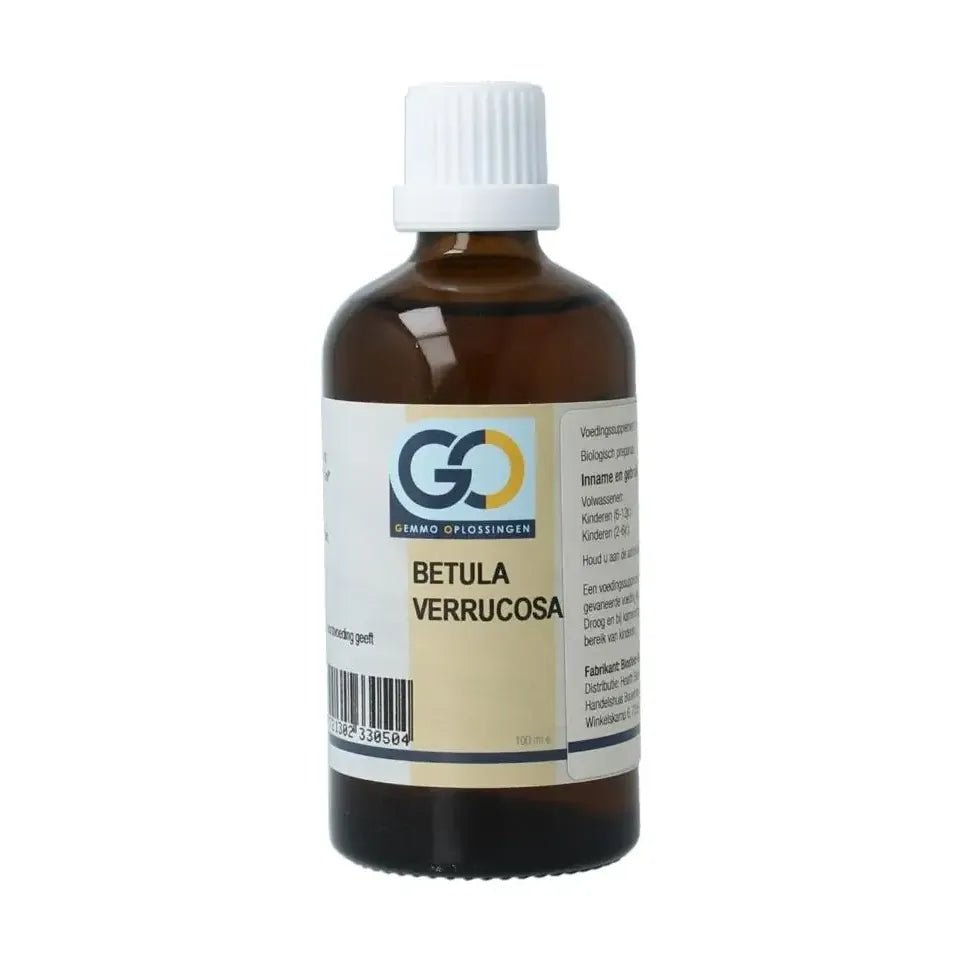 GO Betula verrucosa biologisch 100 ml