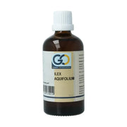 GO ilex aquifolium biologisch 100 ml