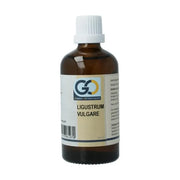 GO Ligustrum vulgare 100 ml