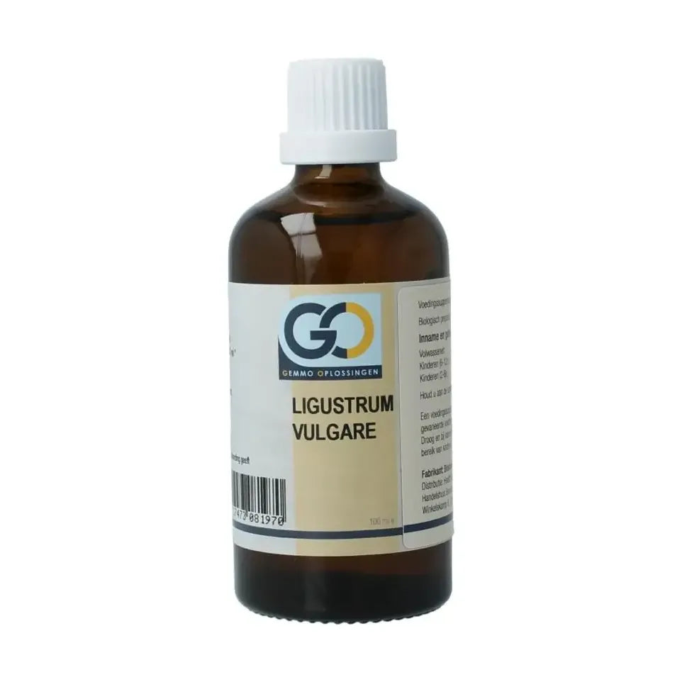GO Ligustrum vulgare 100 ml