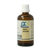 GO Ribes nigrum biologisch 100 ml