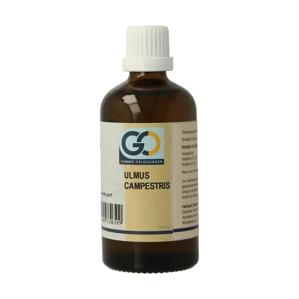 GO Ulmus campestris biologisch 100 ml