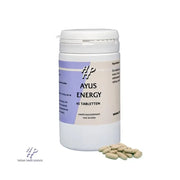 Holisan Ayus energy 45 tabletten