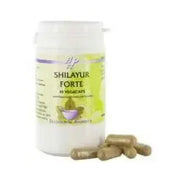 Holisan Shilayur forte 45 vcaps