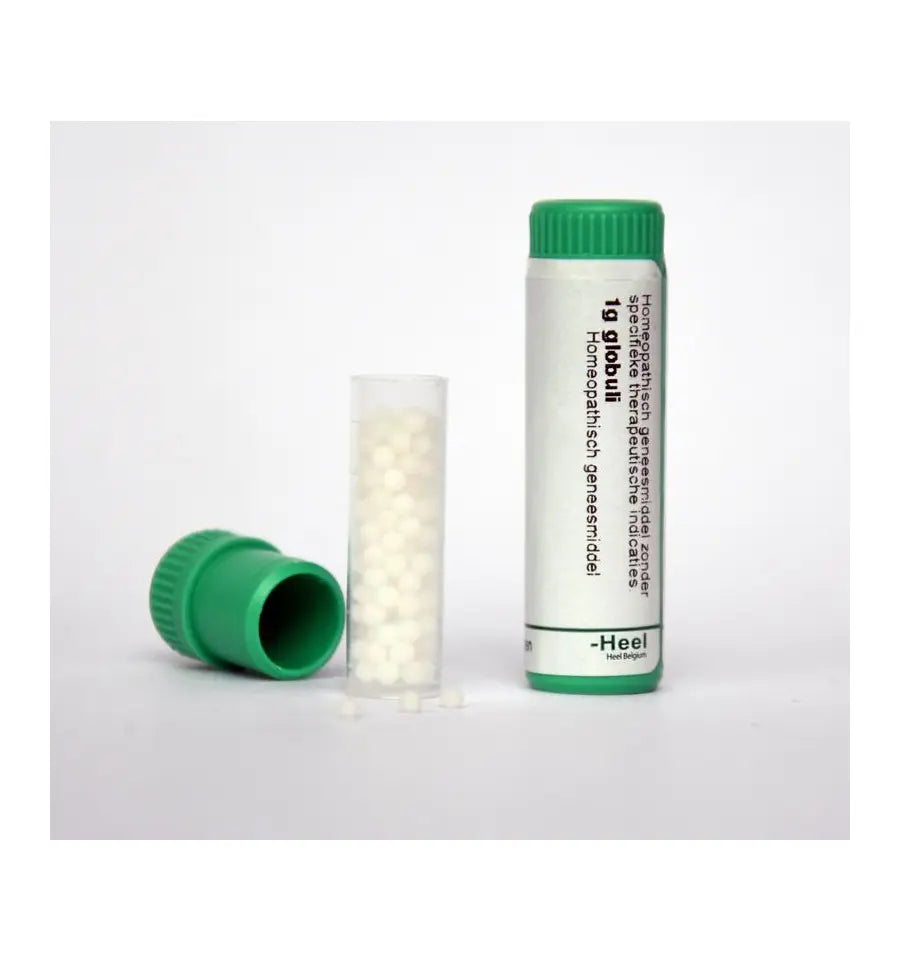 Homeoden Heel Arnica montana LM4 1 gram globuli