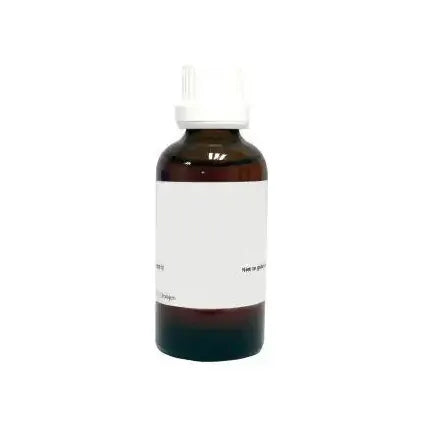 Homeoden Heel Arnica montana phyto 250 ml