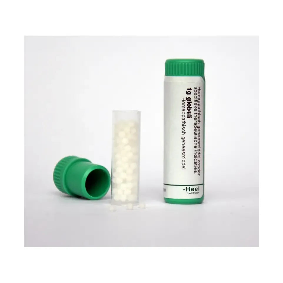 Homeoden Heel Asa foetida D6 1 gram globuli