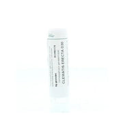 Homeoden Heel Clematis erecta D30 6 gram granules