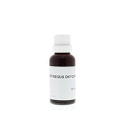 Homeoden Heel Crataegus oxyacantha phyto 30 ml