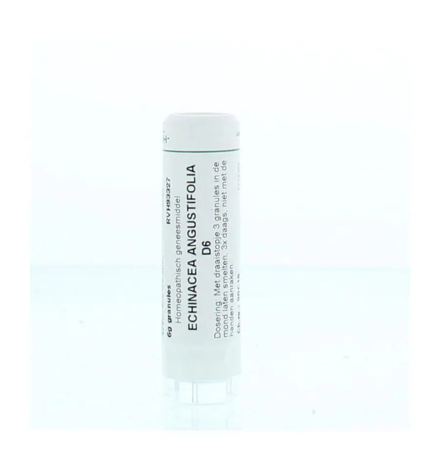 Homeoden Heel Echinacea angustifolia D6 6 gram granules
