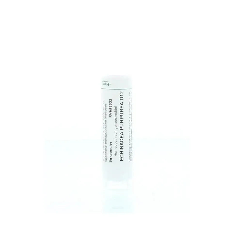 Homeoden Heel Echinacea purpurea D12 6 gram granules