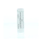 Homeoden Heel Eupatorium perfoliatum D30 6 gram granules