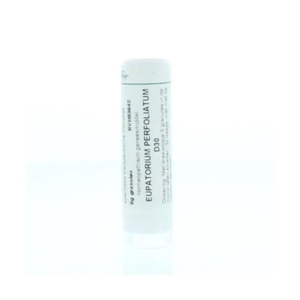 Homeoden Heel Eupatorium perfoliatum D30 6 gram granules