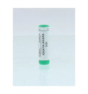 Homeoden Heel Ignatia amara D30 1 gram globuli
