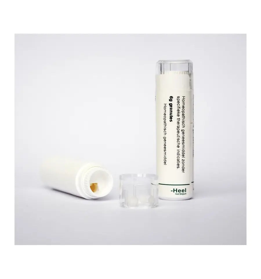 Homeoden Heel Passiflora incarnata MK 6 gram granules