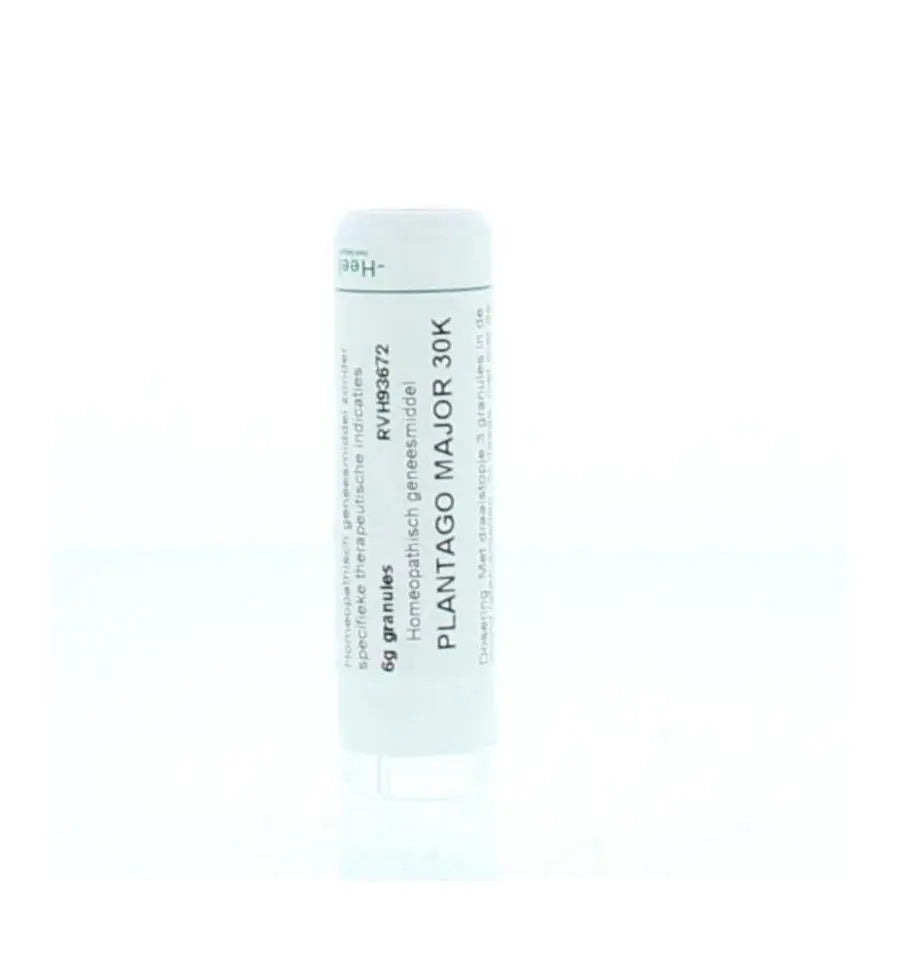 Homeoden Heel Plantago major 30K 6 gram granules